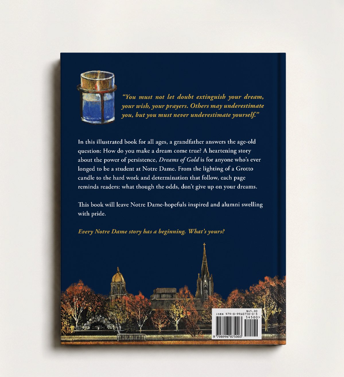 Dreams of Gold back cover
